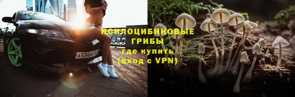 бошки Алзамай