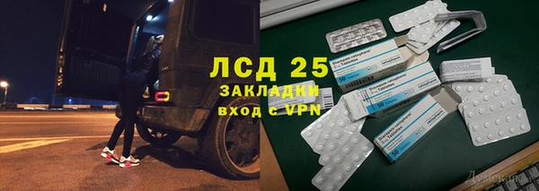 мет Алексин
