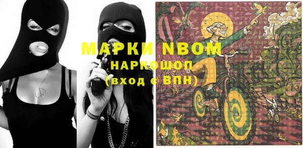 мет Алексин