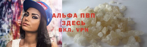 твердый Алексеевка