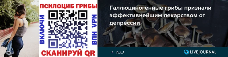Галлюциногенные грибы MAGIC MUSHROOMS купить закладку OMG зеркало Костомукша