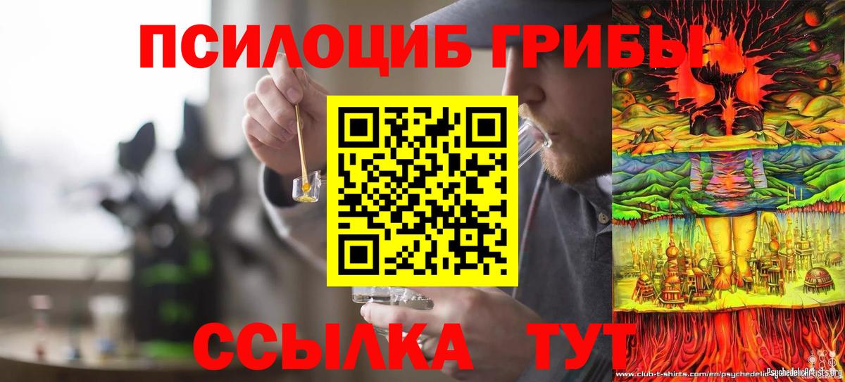 Псилоцибиновые грибы прущие грибы Костомукша