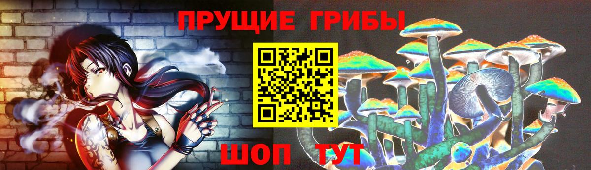 Псилоцибиновые грибы Psilocybine cubensis  Вход с VPN  Костомукша  Псилоцибиновые грибы мицелий 