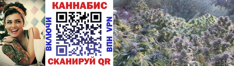 Шишки марихуана SATIVA & INDICA  Костомукша 